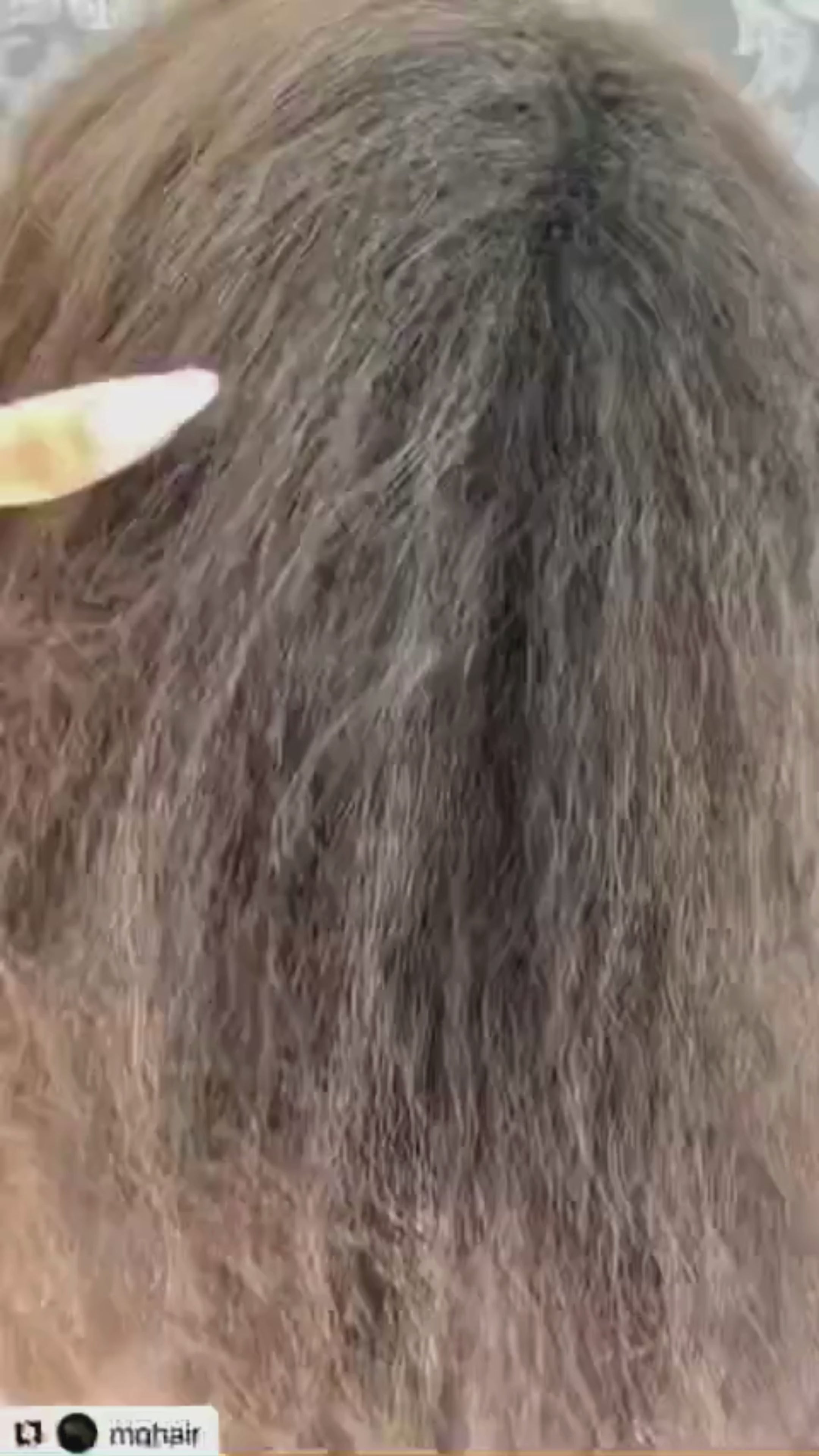 CLICKBEAUTY LABS SL